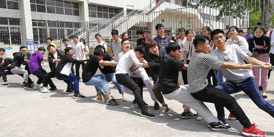 mk体育官网