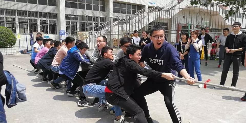 mk体育官网
